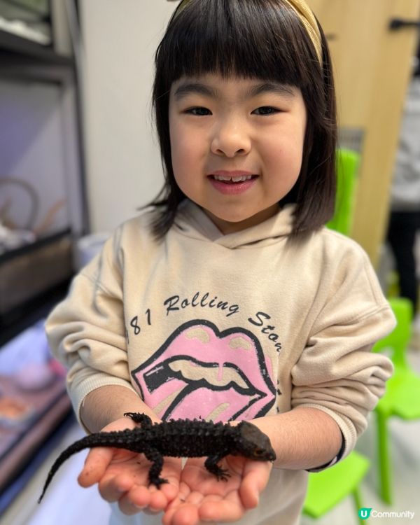 【小探險家出動！】同小動物嘅親密奇遇記 🦎🐹