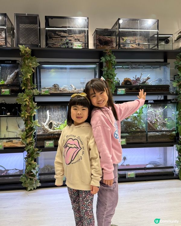 【小探險家出動！】同小動物嘅親密奇遇記 🦎🐹