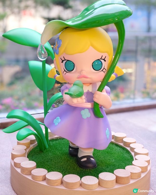 “MOLLY”黎左荃新天地啦♡( •ॢ◡-ॢ)✧˖° ♡