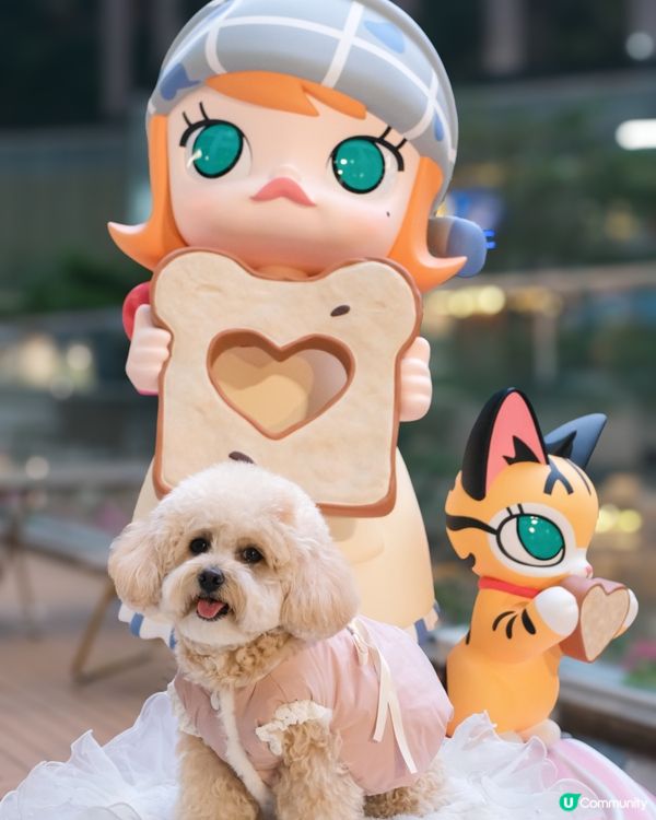 “MOLLY”黎左荃新天地啦♡( •ॢ◡-ॢ)✧˖° ♡