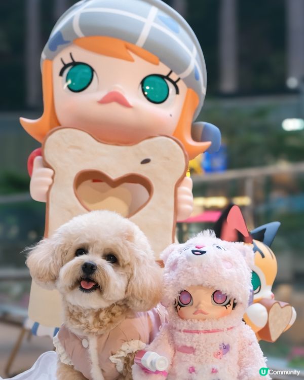 “MOLLY”黎左荃新天地啦♡( •ॢ◡-ॢ)✧˖° ♡