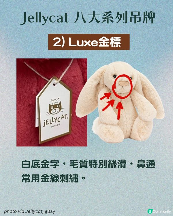 Jellycat 8大系列吊牌+新舊版鑒定班！🔍附詳細對比圖 🏷️