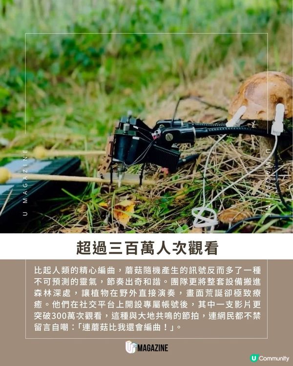這朵蘑菇是真的在演奏?！狂吸300萬次點擊！化生物電流為旋律                                    