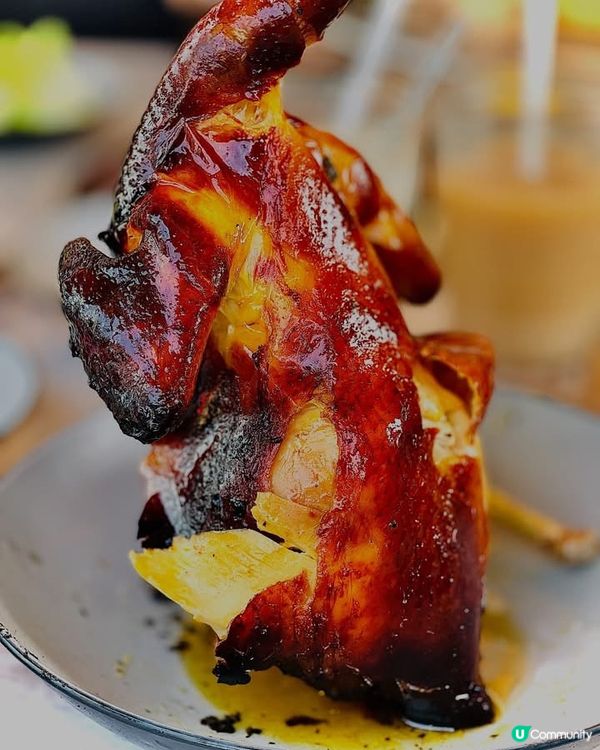 秋高氣爽,最啱就系帶屋企人出去燒嘢食😋