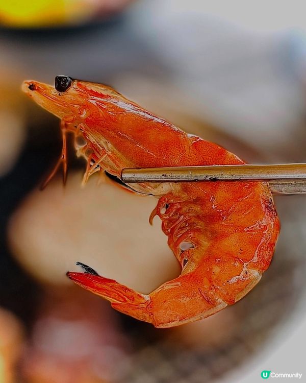 秋高氣爽,最啱就系帶屋企人出去燒嘢食😋