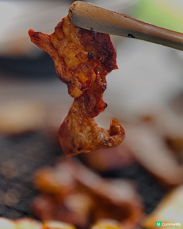 秋高氣爽,最啱就系帶屋企人出去燒嘢食😋
