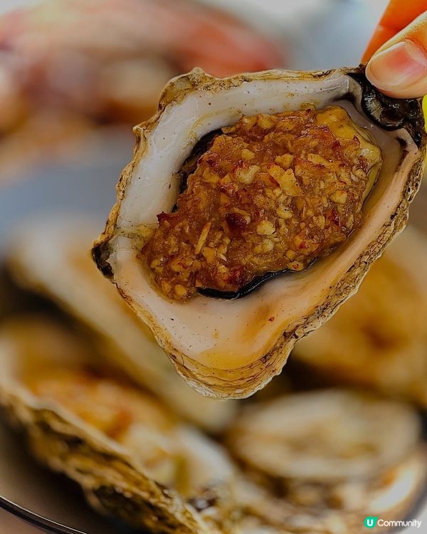 秋高氣爽,最啱就系帶屋企人出去燒嘢食😋