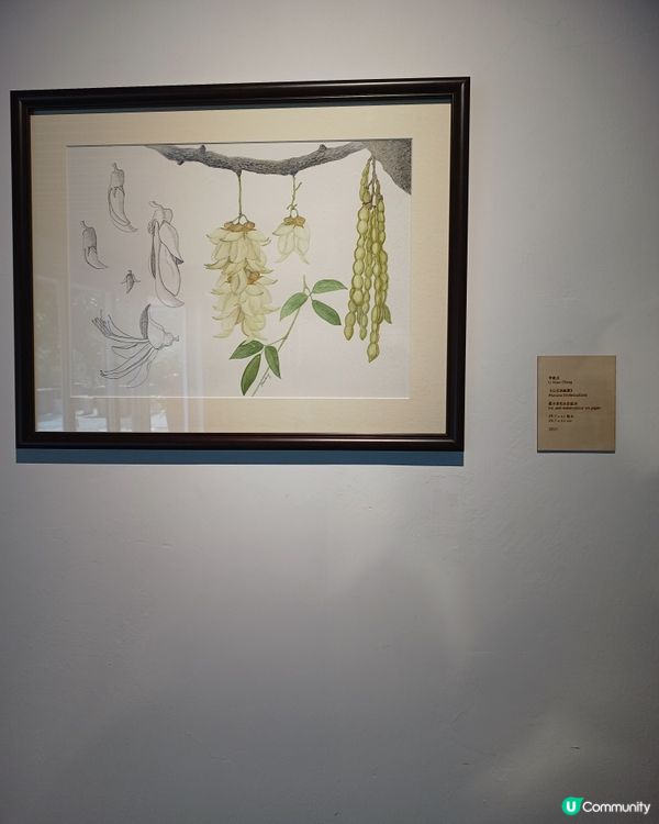 意象香港！🌿🎨 駐園藝術家展覽！