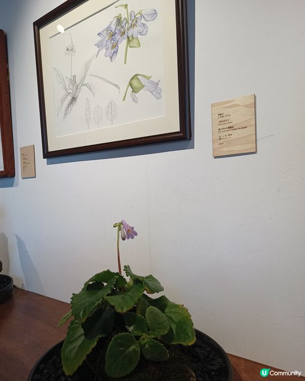 意象香港！🌿🎨 駐園藝術家展覽！