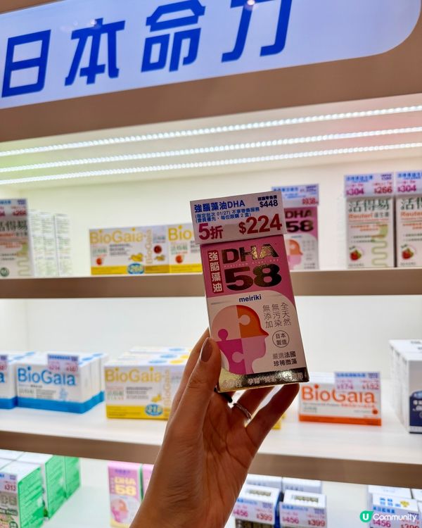2026年荷花BB展日本命力💝