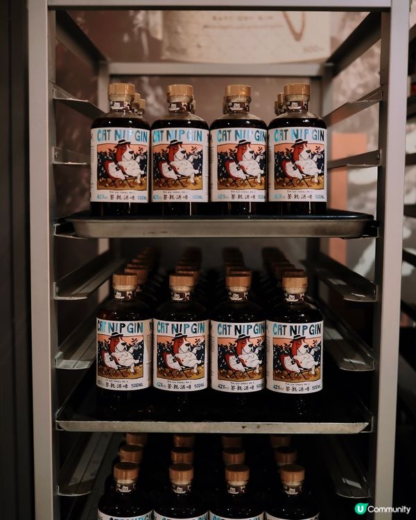 🇭🇰 N.I.P 無名氏 𖤓探索本地氈酒藝術