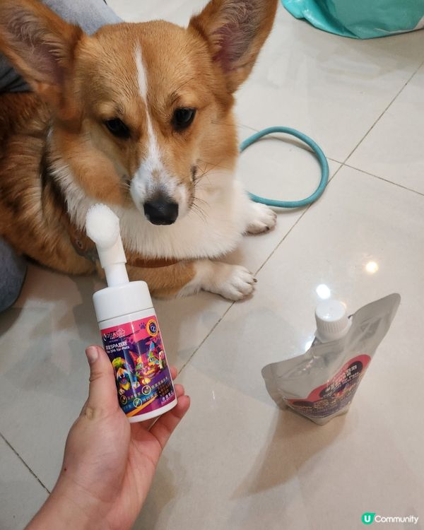 宝贝回家清洁必备