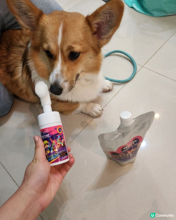 宝贝回家清洁必备