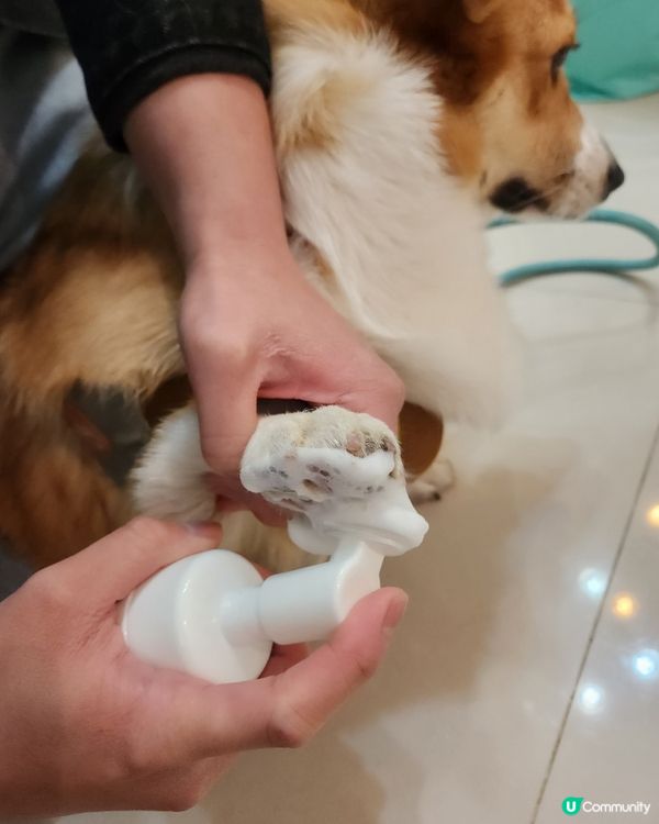 宝贝回家清洁必备