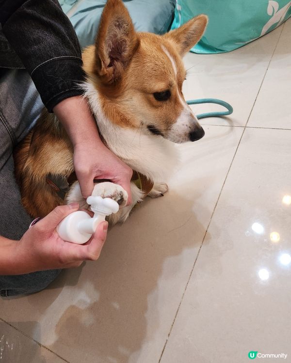宝贝回家清洁必备