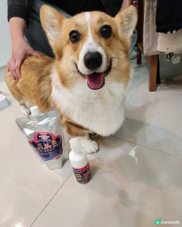 宝贝回家清洁必备