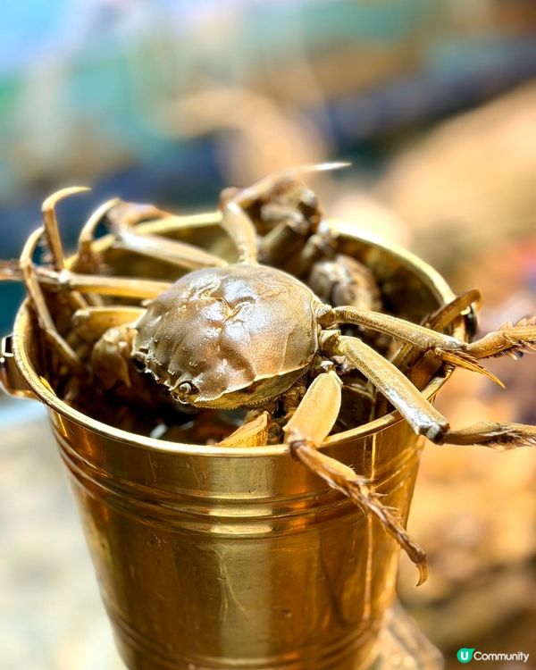 海鮮+榴槤任食！🦀💰