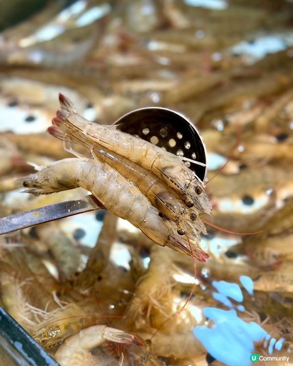 海鮮+榴槤任食！🦀💰
