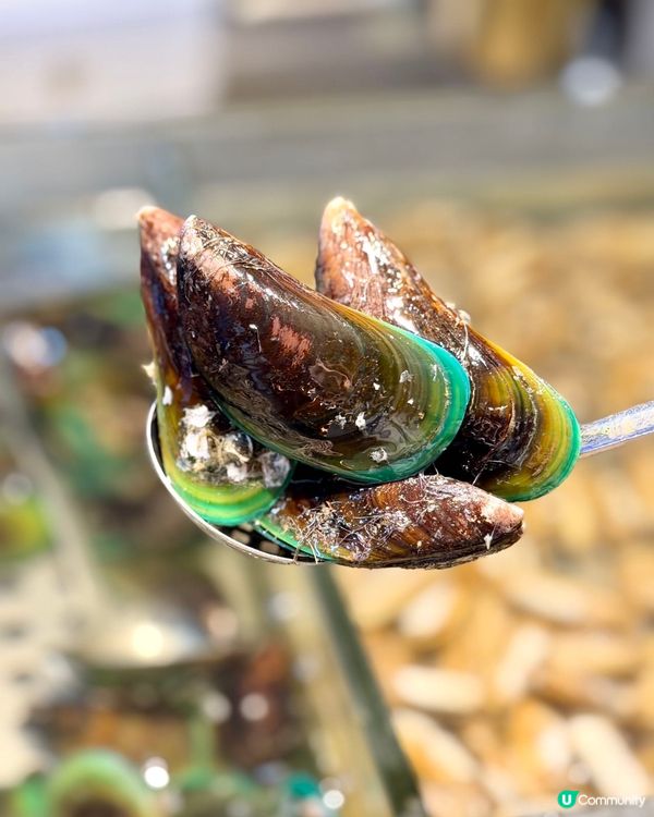 海鮮+榴槤任食！🦀💰