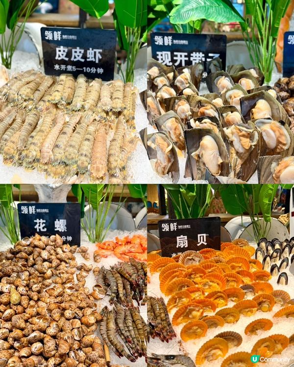 海鮮+榴槤任食！🦀💰