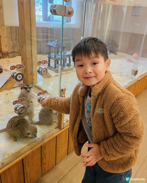 港澳家庭新春出游首選 👍！冬季都可以浸溫泉，仲有樂園玩！