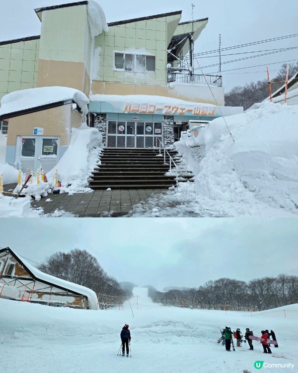 青森雪國半日遊❄️🏞️