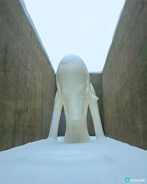 青森雪國半日遊❄️🏞️