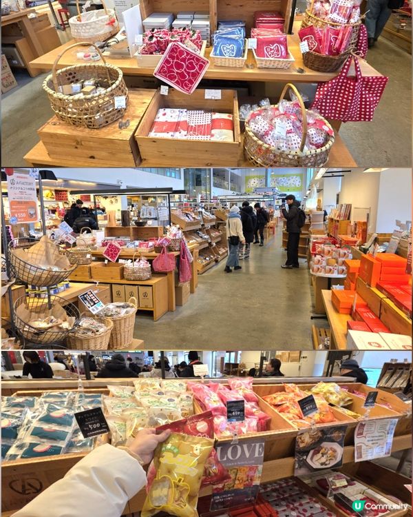 青森雪國半日遊❄️🏞️