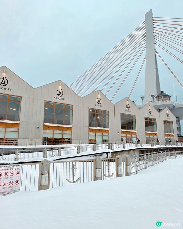 青森雪國半日遊❄️🏞️