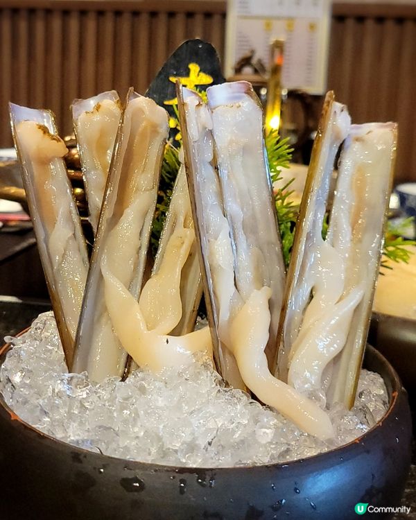 滋補豆乳鍋！龍躉玫瑰超吸睛！🌹🍲