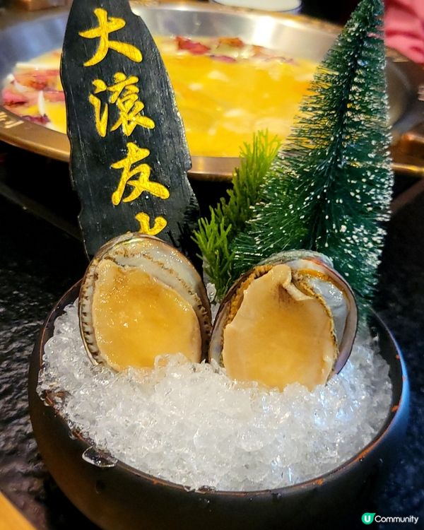 滋補豆乳鍋！龍躉玫瑰超吸睛！🌹🍲