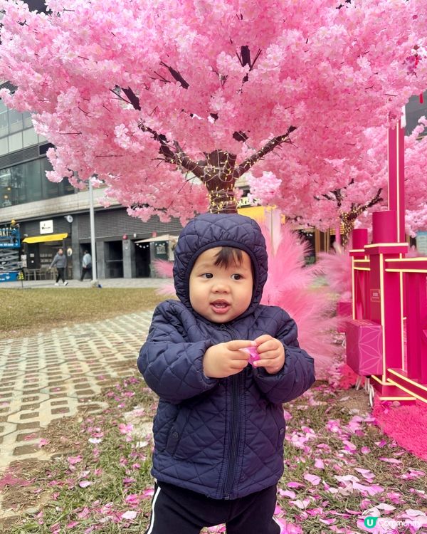 農曆新年x情人節主題打卡Pink花海🌸♥️