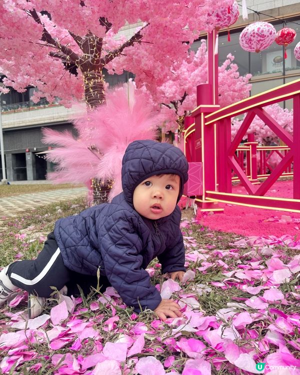 農曆新年x情人節主題打卡Pink花海🌸♥️