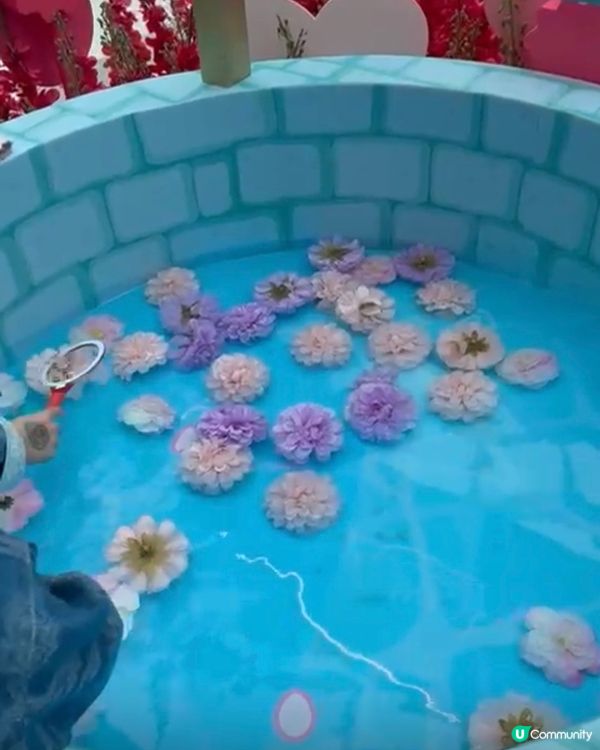 和風新春遊！🌸 新港城中心超好玩！✨