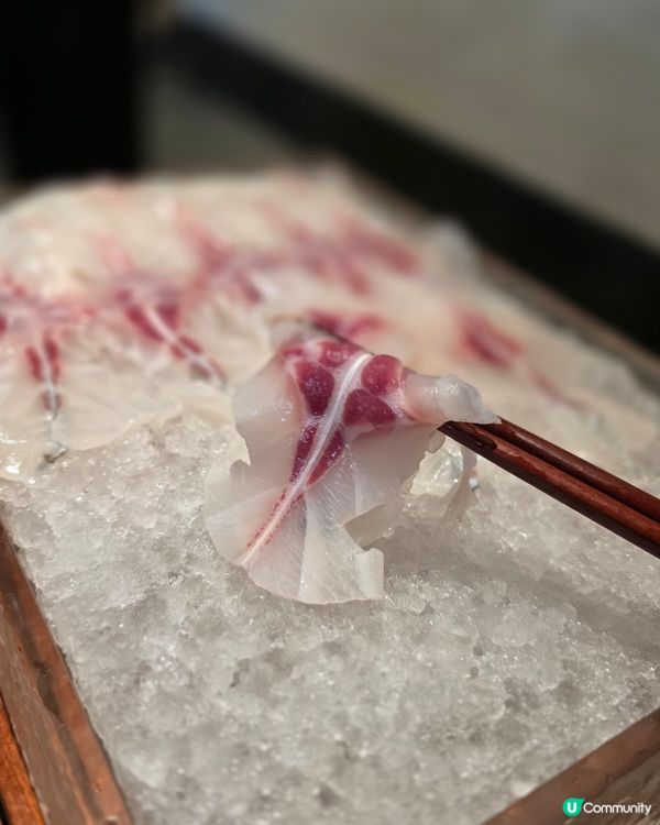 [深圳] 團年飯食-新鮮即劏脆鯇魚火鍋🍲 