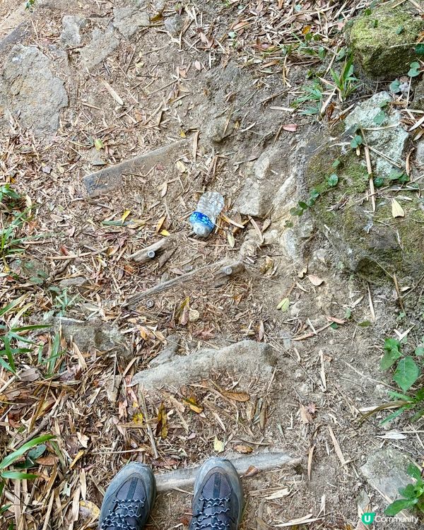 《與飛鵝山的一場對話》 🥾