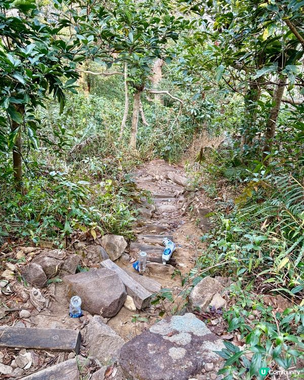 《與飛鵝山的一場對話》 🥾