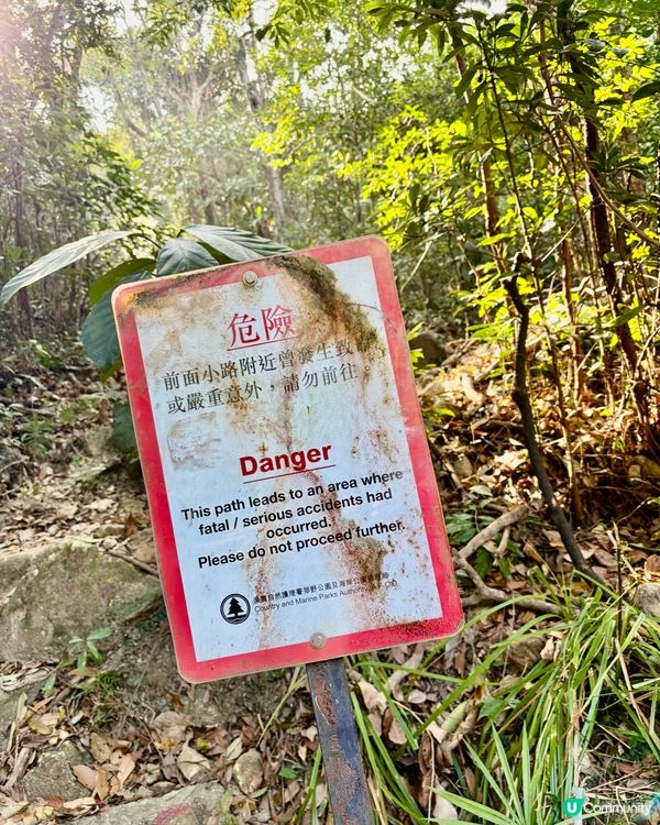 《與飛鵝山的一場對話》 🥾