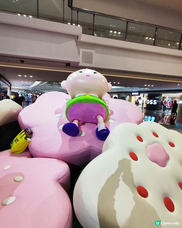 📸又一城肥波兔打卡位！🐰💖