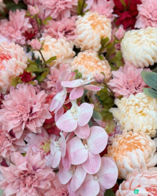 百鳥朝鳳迎新春！中庭變藝術樂園！🤩