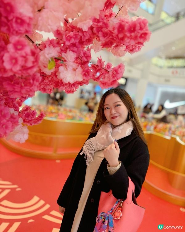 團年飯後奧海城！駿馬奔騰賀新歲！🐎✨