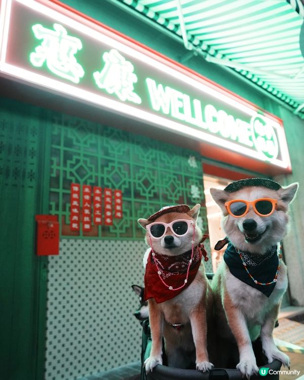 油麻地復古惠康！