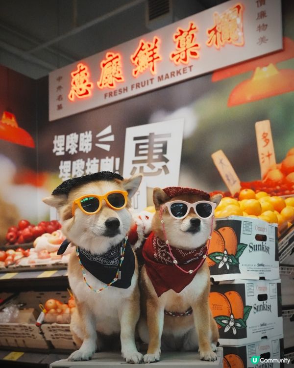 油麻地復古惠康！