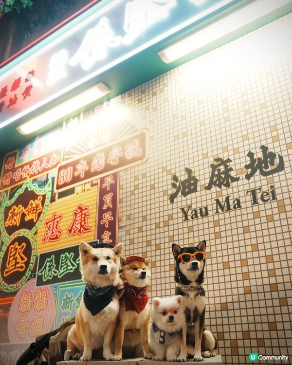 油麻地復古惠康！