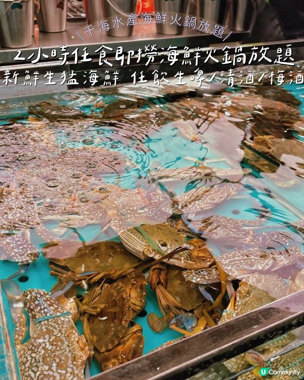 2小時任食即撈海鮮火鍋放題