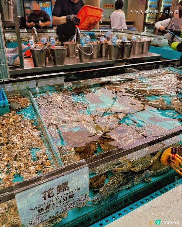 2小時任食即撈海鮮火鍋放題