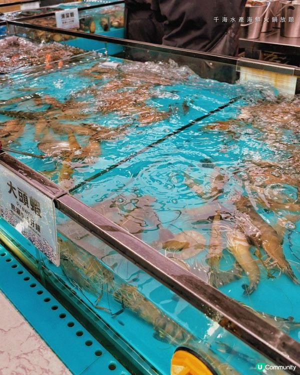 2小時任食即撈海鮮火鍋放題