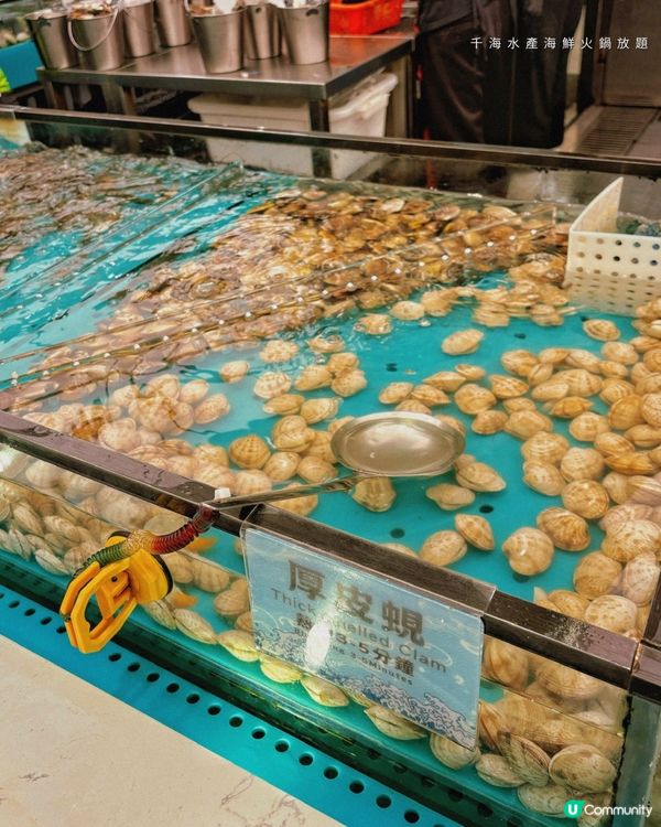 2小時任食即撈海鮮火鍋放題