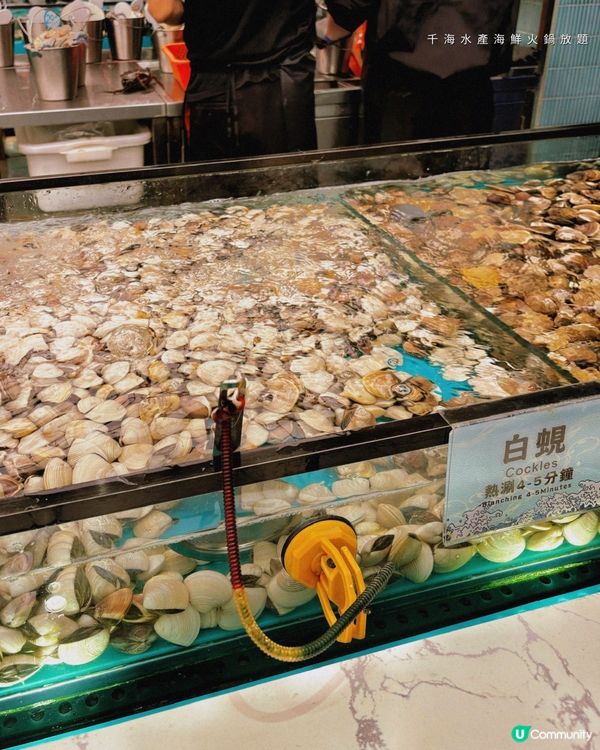 2小時任食即撈海鮮火鍋放題