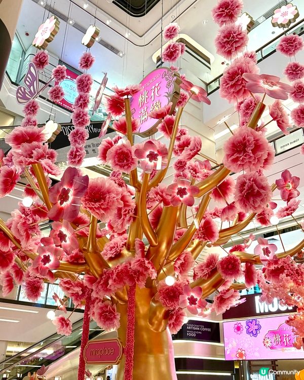 想今年桃花朵朵開？美麗華巨桃樹打卡位！🌸✨